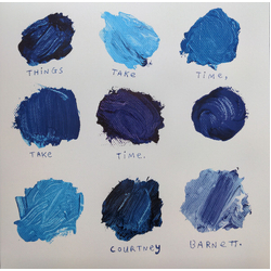 Courtney Barnett Things Take Time Take Time VINYL LP IN SPOT-VARNISHED SLEEVE