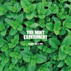 J Felix The Mint Experiment Volume 1 & 2 LIMITED LP