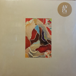 Teebs Anicca VINYL LP