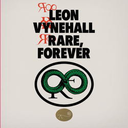 Leon Vynehall Rare Forever VINYL LP + BOOKLET + MP3 DOWNLOAD CODE IN SPOT-VARNISHED SLEEVE