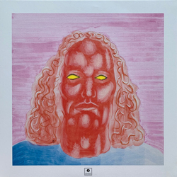 Jameszoo Blind VINYL LP IN EMBOSSED SLEEVE + MP3 DOWNLOAD CODE