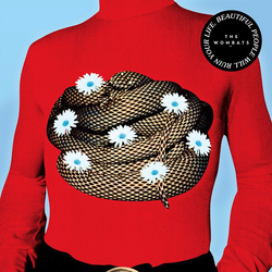 The Wombats Beautiful People Will Ruin Your Life TRANSPARENT VINYL LP + MP3 DOWNLOAD CODE