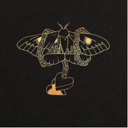 David Gray Gold In A Brass Age LIMITED TRANSPARENT YELLOW VINYL 2LP