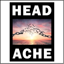 Headache Thank You For Almost Everything VINYL 2LP + BOOKLET