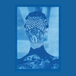 Natalia/Eimear Reidy Beylis She Came Through The Window To Stand By The Door VINYL LP