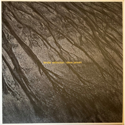 Steve Jansen Tender Extinction REMASTERED HEAVYWEIGHT VINYL 2LP