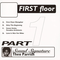 Theo Parrish First Floor Part 1 REISSUE SMOKEY BLACK VINYL 2LP WITH OBI-STRIP