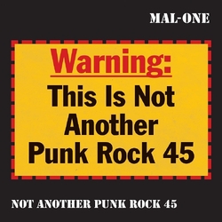 Mal One Not Another Punk Rock 45 VINYL 7INCH