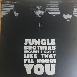 Jungle Brothers Because I Got It Like That RECORD STORE DAY 2020 VINYL 7INCH