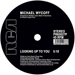 Michael Wycoff Looking Up To You A MIKE MAURRO MIX VINYL 12INCH