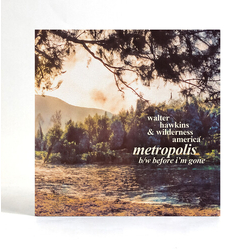 Walter/Wilderness America Hawkins Metropolis VINYL 7INCH