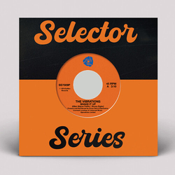 The Vibrations Shake It Up VINYL 7INCH