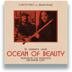 Earthtones With Sheela Bringi Ocean Of Beauty: Meditations For Synthesizer & Bansuri Flute VINYL LP