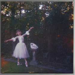 Wolf Alice Visions Of A Life 180GM VINYL 2x LP + MP3 DOWNLOAD CODE