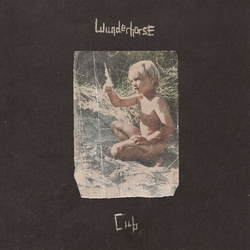 Wunderhorse Cub VINYL LP