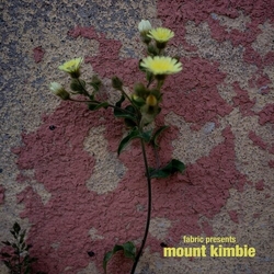 Mount Kimbie/Various Fabric Presents Mount Kimbie VINYL 2LP