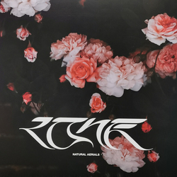 Lone Natural Aerials LIMITED PINK VINYL 12INCH