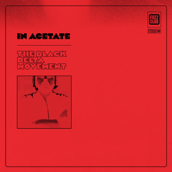 The Black Delta Movement In Acetate ..VINYL