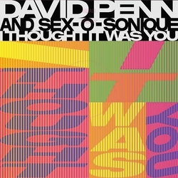 David Penn/Sex O Sonique I Thought It Was You VINYL 12INCH
