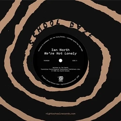 Ian/John Howard North All The Young Droids: Junk Shop Sampler RECORD STORE DAY RSD 2025 LIMITED 7INCH