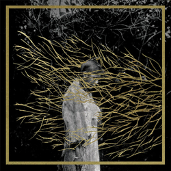 Forest Swords Engravings LIMITED 'NIGHT SMOKE' VINYL LP