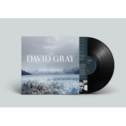 David Gray Life In Slow Motion 20TH ANNIVERSARY EDITION VINYL LP
