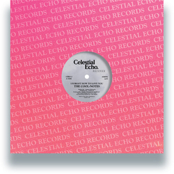 The Cool Notes I Forgot How To Love You VINYL 12INCH