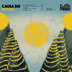 Causa Sui In Flux LIMITED ECO MIX VINYL DOUBLE 10INCH LP + MP3 DOWNLOAD CODE