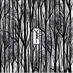 Veri Aijial VINYL LP + BOOKLET