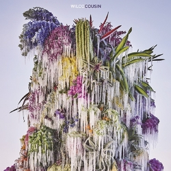 Wilco Cousin LP
