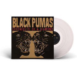 Black Pumas Chronicles Of A Diamond CLEAR VINYL LP + POSTER
