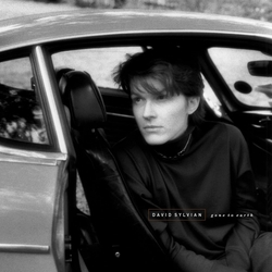 David Sylvian Gone To Earth REMASTERED 'CORONA WHITE BROWN & BLACK ' VINYL 2LP