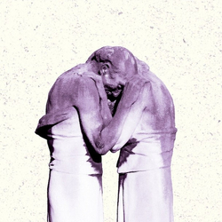 The Antlers Familiars VINYL LIMITED 2LP