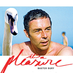 Baxter Dury It's A Pleasure VINYL LP + MP3 DOWNLOAD CODE