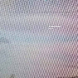 Jean Dl Standing/Engraving VINYL LP