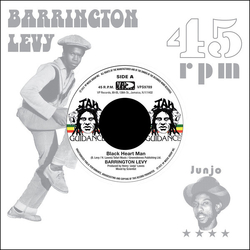 Barrington/Roots Radics Levy Black Heart Man VINYL 7INCH