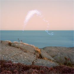 Cassandra Jenkins An Overview On Phenomenal Nature VINYL LP + INSERT