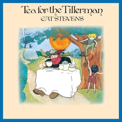 Cat Stevens Tea For The Tillerman REISSUE VINYL LP