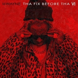 Lil Wayne Tha Fix Before Tha Vi CD IN LP SLEEVE