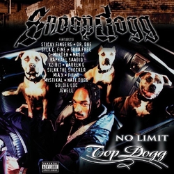 Snoop Dogg No Limit Top Dogg REISSUE VINYL 2LP