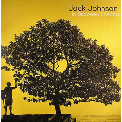 Jack Johnson In Between Dreams VINYL LP