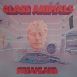 Glass Animals Dreamland HEAVYWEIGHT VINYL LP + INSERT