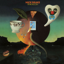 Nick Drake Pink Moon REISSUE VINYL LP