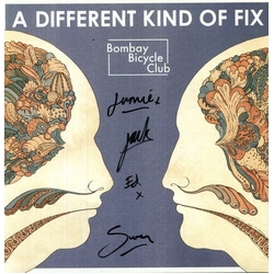 Bombay Bicycle Club A Different Kind Of Fix VINYL LP + INSERT