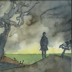James Blake The Colour In Anything VINYL 2LP