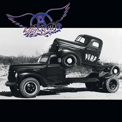 Aerosmith Pump REISSUE 180GM VINYL LP