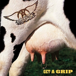 Aerosmith Get A Grip REISSUE 180GM VINYL 2LP