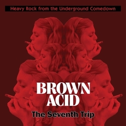 Various Brown Acid: The Seventh Trip HEAVY ROCK FROM THE UNDERGROUND COMEDOWN COLOURED VINYL LP LIMITED TO 200 COPIES