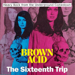 Various Brown Acid: The Sixteenth Trip COLOURED VINYL LP