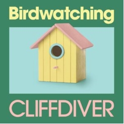 Cliffdiver Birdwatching SKY BLUE VINYL LP